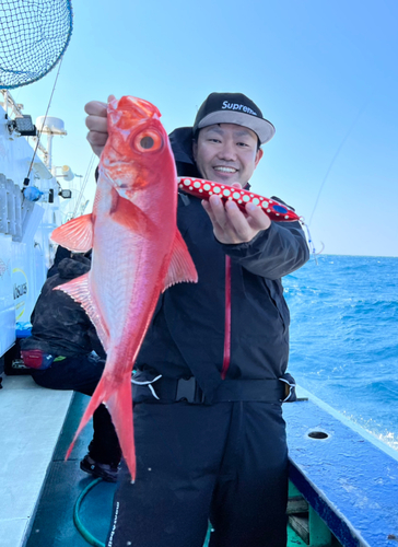 キンメダイの釣果