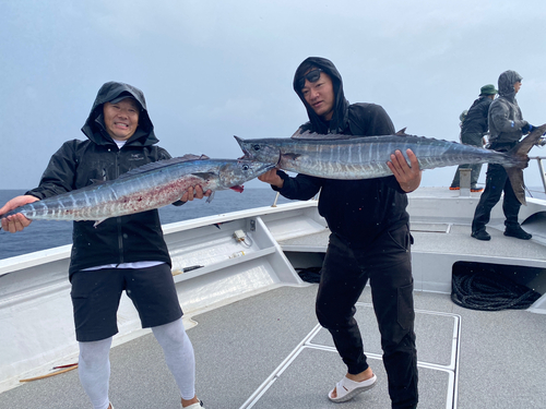 カマスサワラの釣果