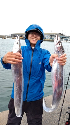 タチウオの釣果