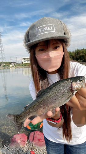 ニジマスの釣果