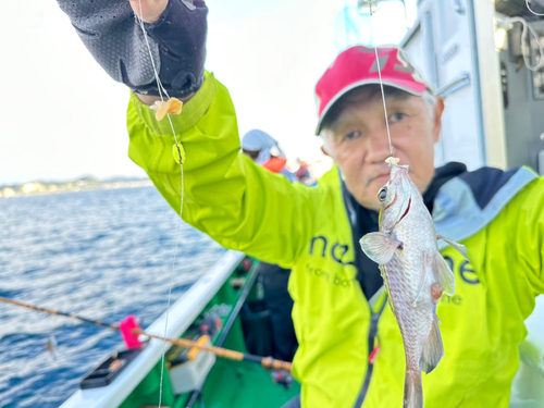 スズメダイの釣果