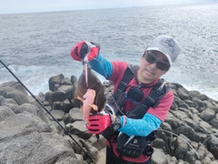 ツマジロモンガラの釣果