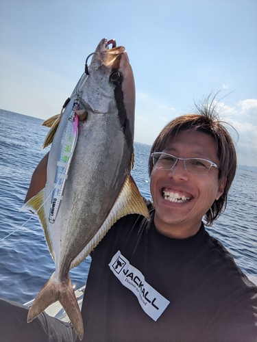 ヒレナガカンパチの釣果