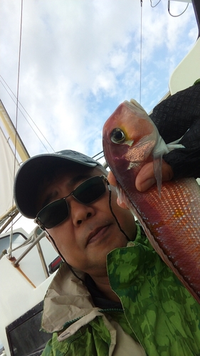 アマダイの釣果