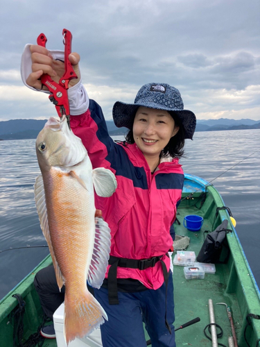 シロアマダイの釣果