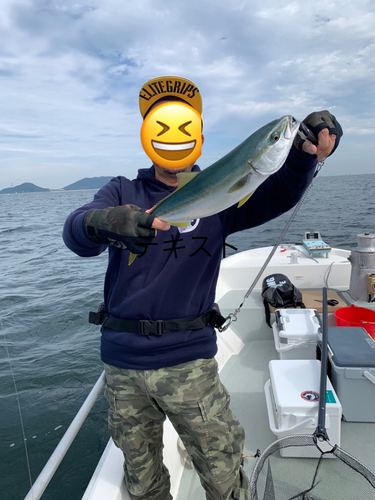 ハマチの釣果