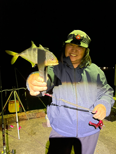 ロウニンアジの釣果