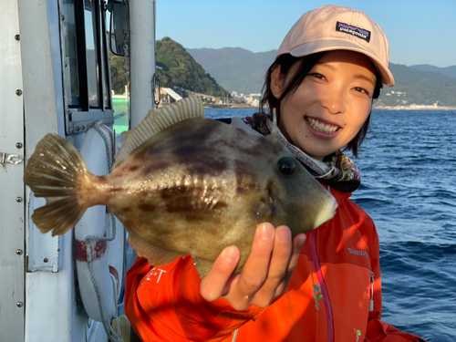 カワハギの釣果