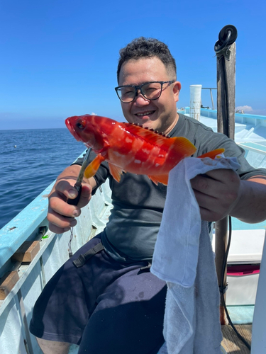 アカハタの釣果