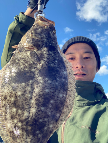 ヒラメの釣果