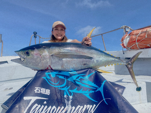 キハダマグロの釣果