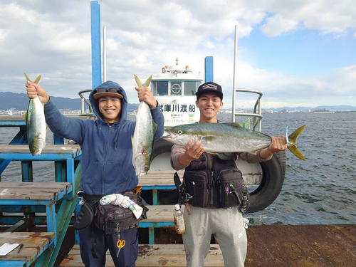 ブリの釣果