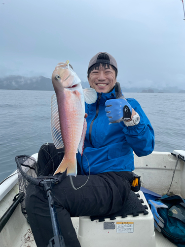 シロアマダイの釣果