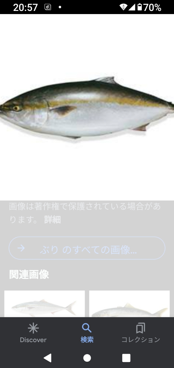 アオアジ