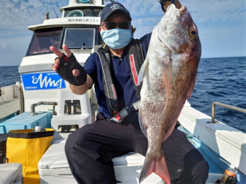 マダイの釣果