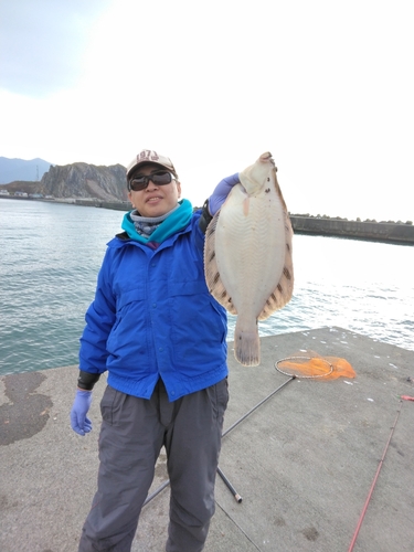 クロガシラガレイの釣果