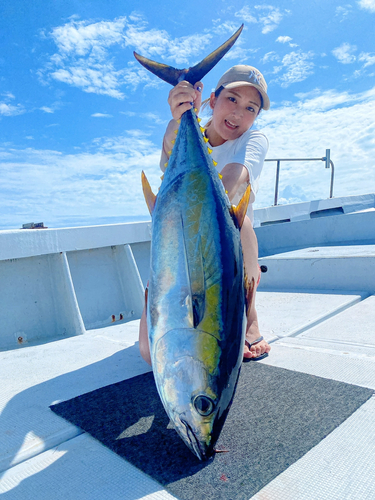 キハダマグロの釣果