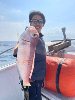 アマダイの釣果