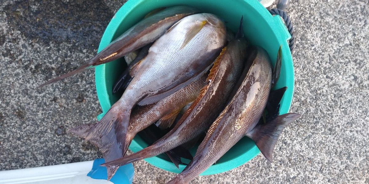 宏洋丸さんの釣果 3枚目の画像