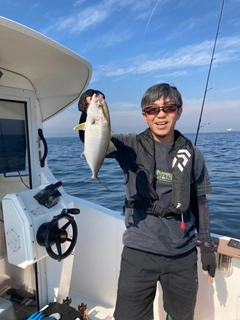 ショゴの釣果