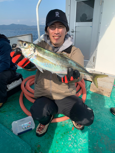 マアジの釣果