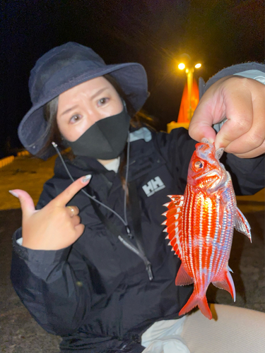 テリエビスの釣果