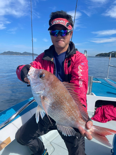 マダイの釣果