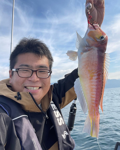 アマダイの釣果