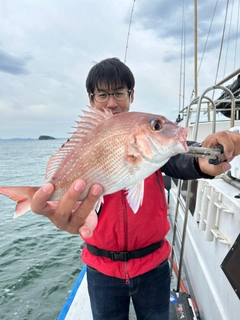 マダイの釣果