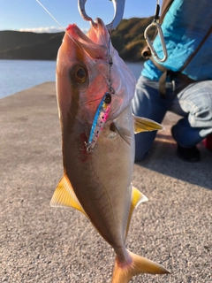 ネイリの釣果