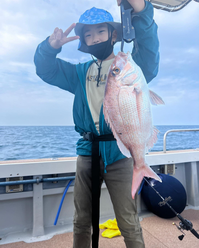 マダイの釣果