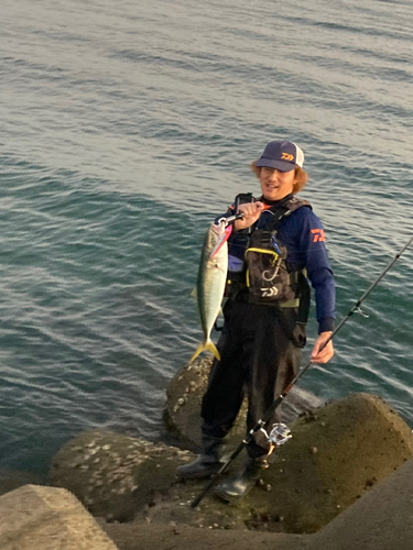 メジロの釣果