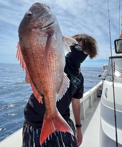 タイの釣果