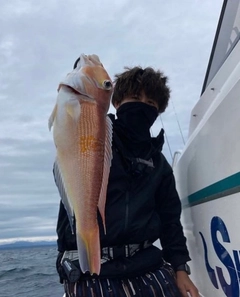 アマダイの釣果