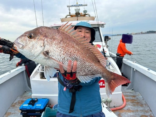 マダイの釣果