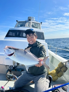 ヒレナガカンパチの釣果