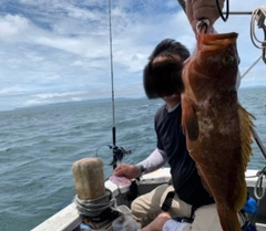 アコウの釣果