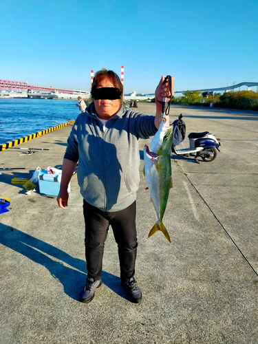 メジロの釣果