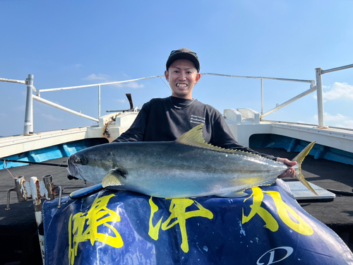 ヒラマサの釣果