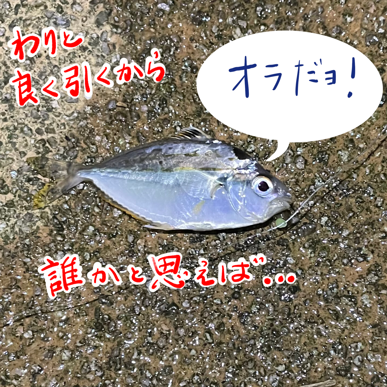 ヒイラギ