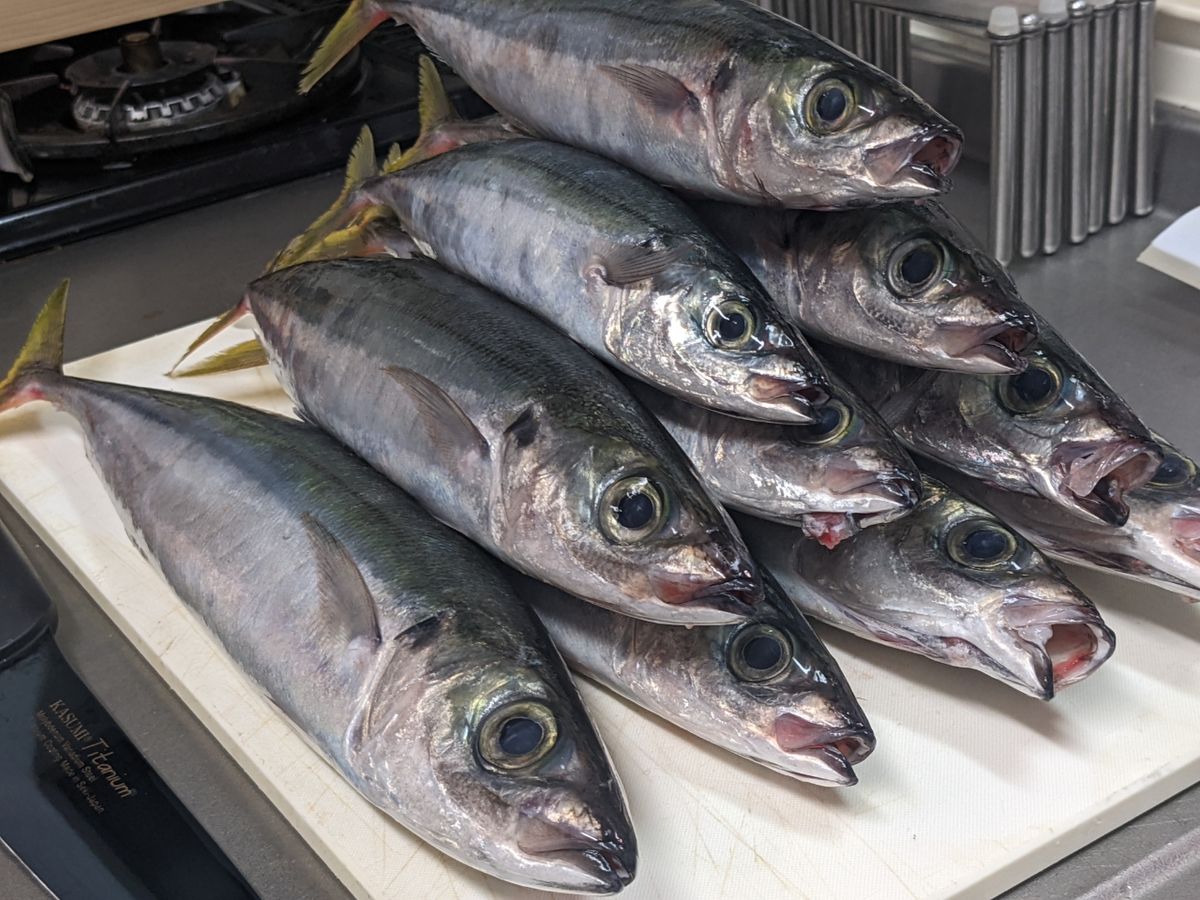 まーさん🎣☆週末アングラー☆さんの釣果 2枚目の画像