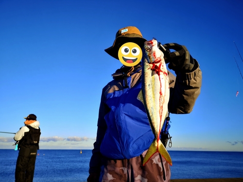 イナダの釣果