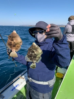 カワハギの釣果