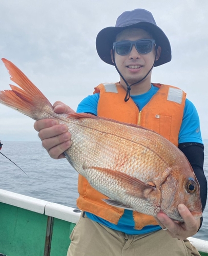 マダイの釣果