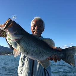 まいど！おおきに！の釣果