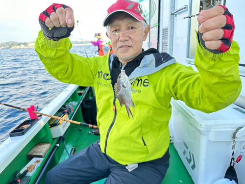 スズメダイの釣果