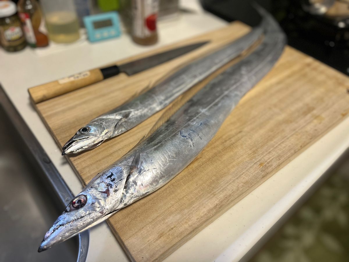 よけすさんの釣果 3枚目の画像