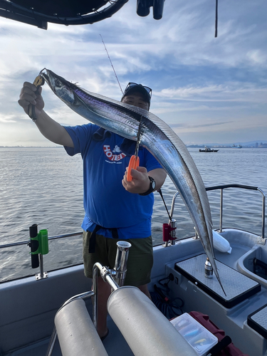 タチウオの釣果