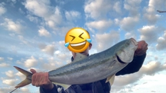 メジロの釣果