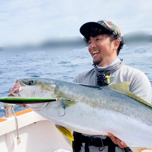 ヒラマサの釣果